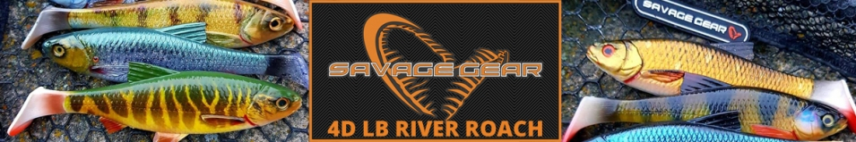 Savage Gear 4D LB River Roach 18cm 70g