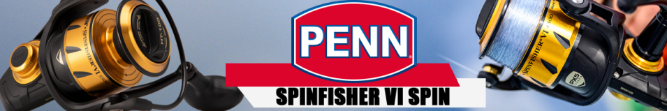 Penn Spinfisher VI Spin