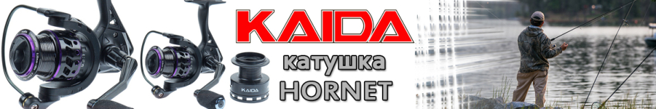 Kaida Hornet