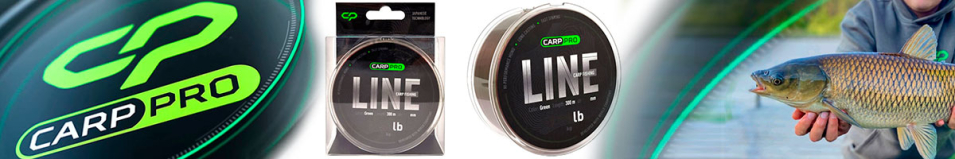 Carp Pro Line Green 300м (CP5203)