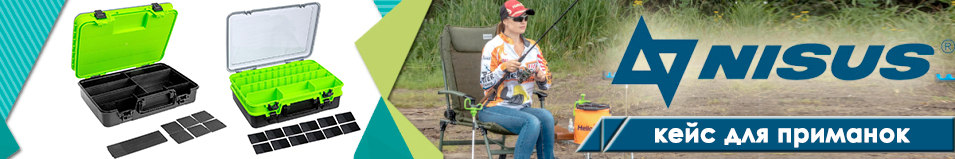 Nisus (N-XD-46) Кейс двухсекционный 39х27х12cm