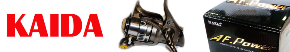 Kaida AF. Power