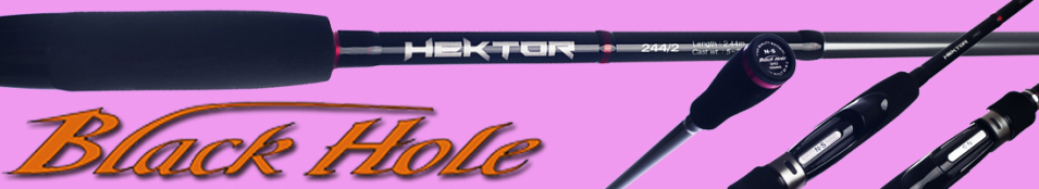 Black Hole Hektor
