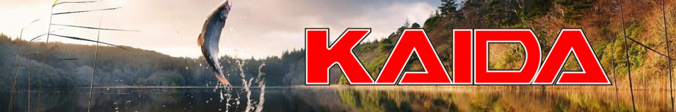 Kaida