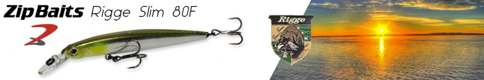 ZipBaits Rigge Slim 80F