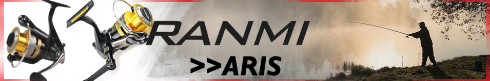 Ranmi Aris