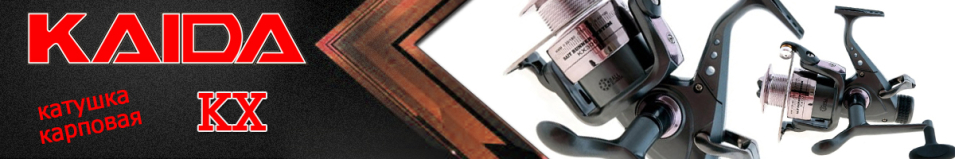 Kaida KX