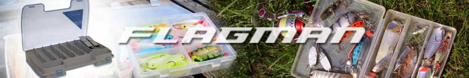 Flagman 300x200x60мм (FA2546)