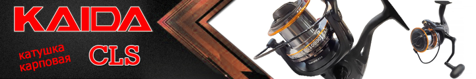 Kaida CLS