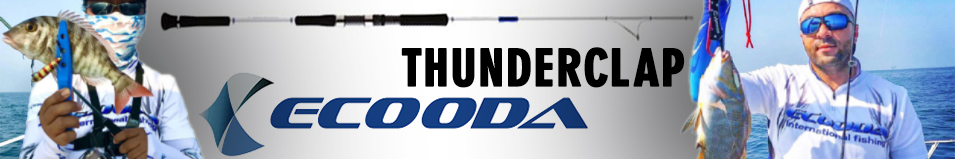 Ecooda Thunderclap