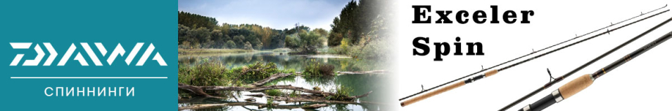 Daiwa Exceler Spin