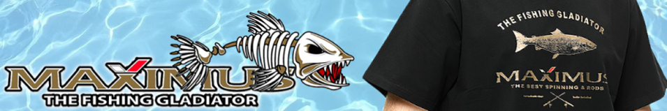 Maximus Футболка чёрная (MCTSB)