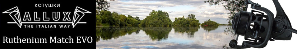 Allux Ruthenium Match EVO