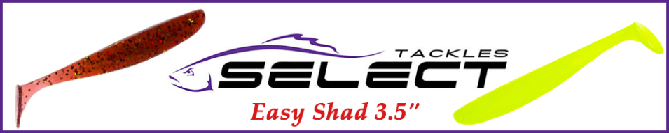 Select Easy Shad 3.5" 