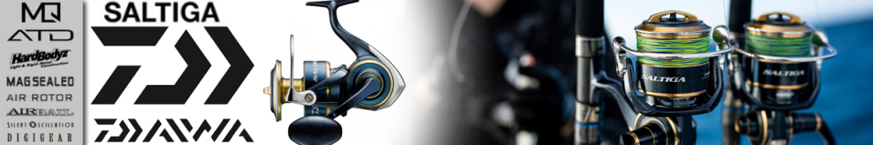 Daiwa 20 Saltiga (G)