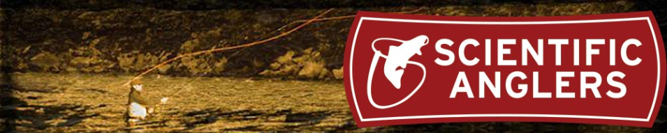 Scientific Anglers Nymph WF4F