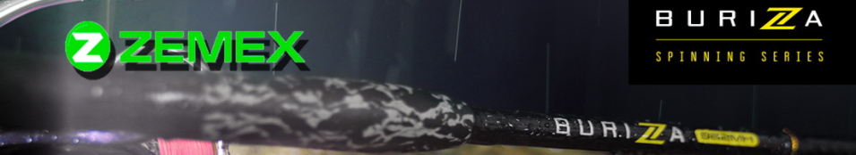 Zemex Buriza