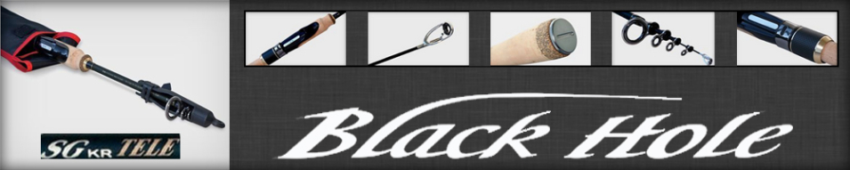 Black Hole SG Tele S-565