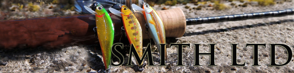 Smith AR-FS Minnow 