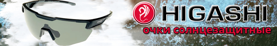 Higashi Glasses H7821