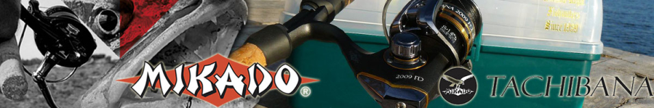 Mikado Tachibana FD
