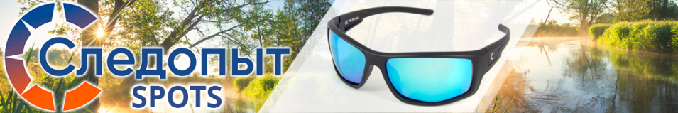 Следопыт Spots в футляре, линзы grey with ice blue revo