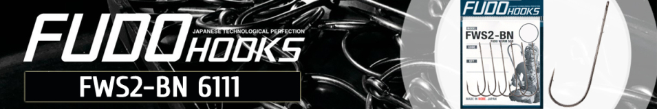 Fudo FWS2-BN 6111