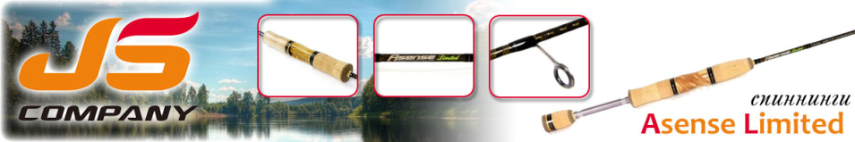 JSCompany Asense Limited                                                  