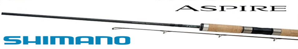 Shimano Aspire BX Salt Water 