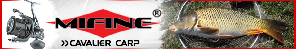 Mifine Cavalier Carp