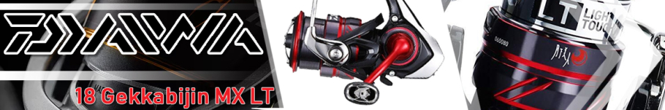 Daiwa 18 Gekkabijin MX LT