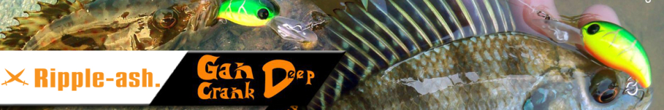 Ripple-Ash GAN Crank Deep 28D