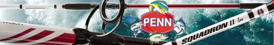 Penn Squadron II Euro Surf