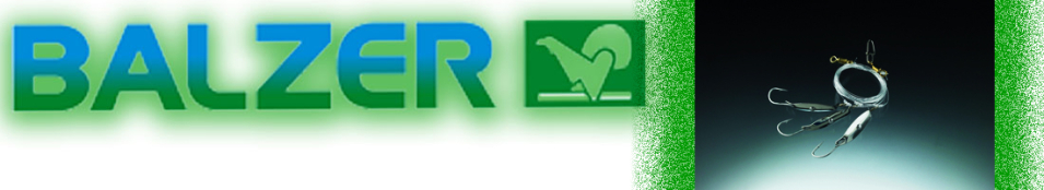 Balzer Dorsch Blinker