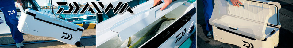 Daiwa T Master HD2 VSS6000 GD