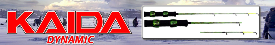 Kaida Dynamic
