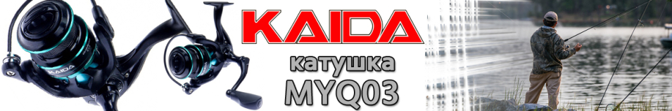 Kaida MYQ03