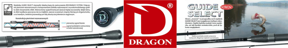 Dragon Guide Select Skinner Cast