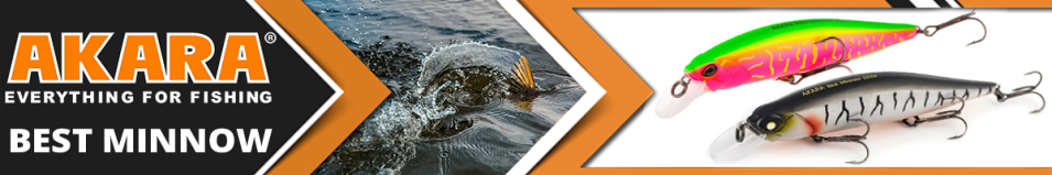 Akara Best Minnow 100SP 15 гр.
