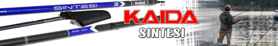 Kaida Sintesi