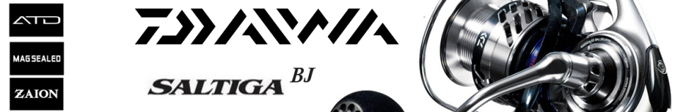 Daiwa 17 Saltiga BJ