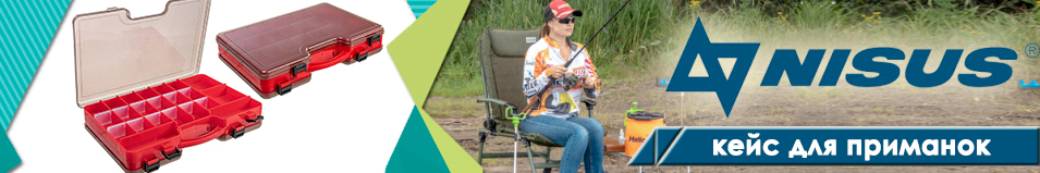 Nisus (N-XD-40) Кейс двухсторонний 29х19х6cm