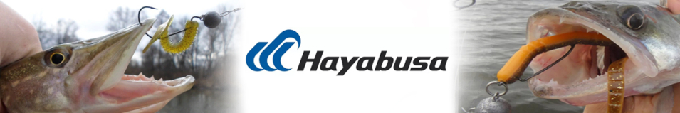 Hayabusa FF309 DAS
