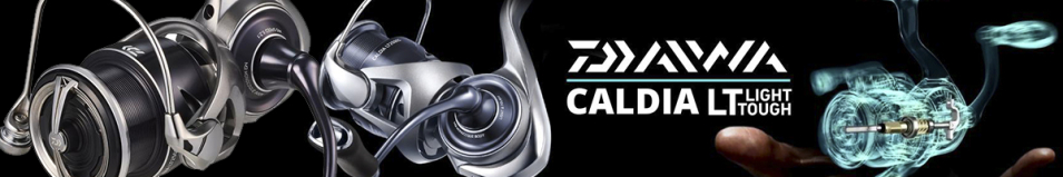 Daiwa 25 Caldia LT