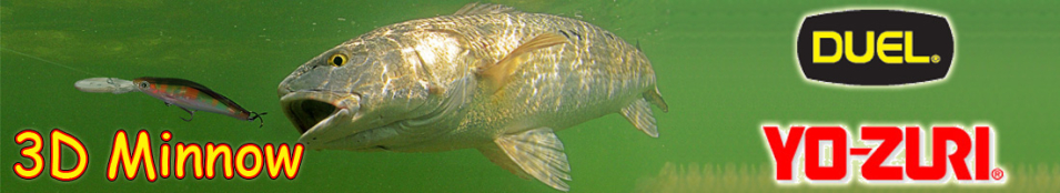 Yo-Zuri 3D Minnow 150 F622