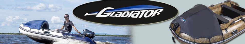 Моторные лодки с жестким полом Gladiator Active (С)