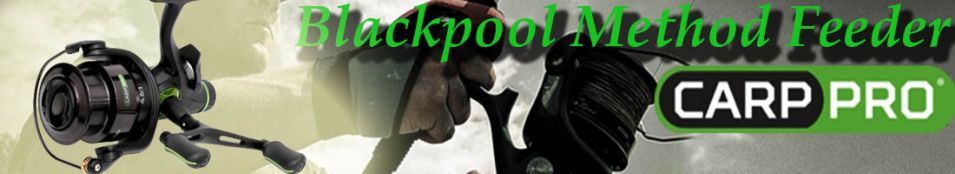 Carp Pro Blackpool Method Feeder