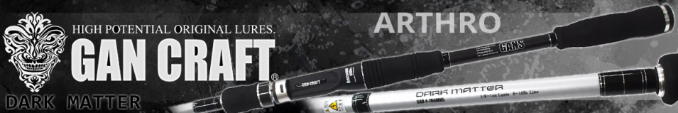 Gan Craft Arthro Dark Matter