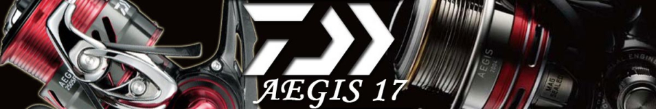 Daiwa 17 Aegis