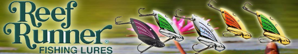 Reef Runner Cicada 3/32